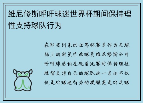 维尼修斯呼吁球迷世界杯期间保持理性支持球队行为